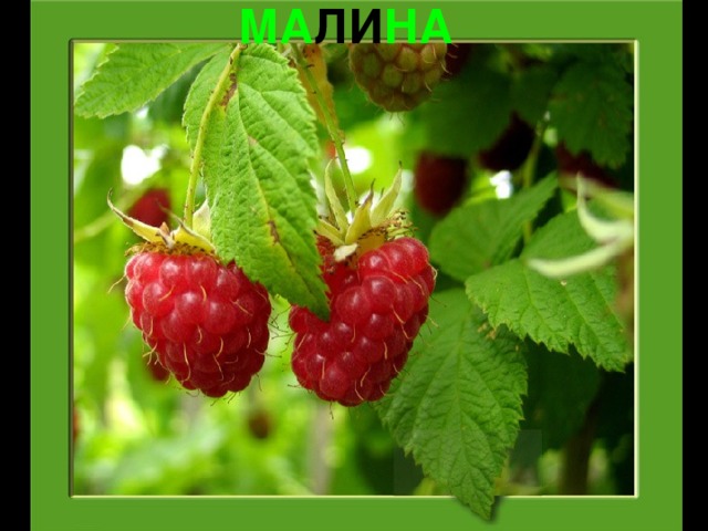 МА ЛИ НА 