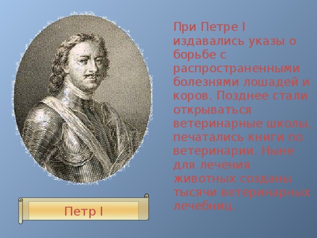 Становилось позже. Петр 1 Ветеринария. Указ Петра 1 о ветеринарии. Петр 1 ветеринар. Указ Петра 1 о ветеринарии 1707 год.