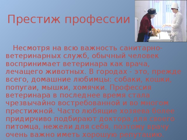 Ветеринар доклад. Специальности профессии ветеринар.