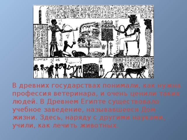 Пять букв первые ко. Ветеринар в древности. Ветеринария в древнем мире. Ветеринария в древнем Египте.