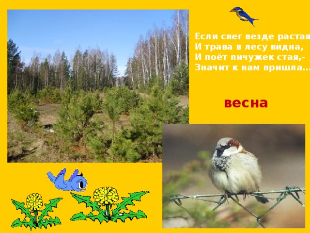 Если снег везде растаял И трава в лесу видна, И поёт пичужек стая,- Значит к нам пришла… весна 