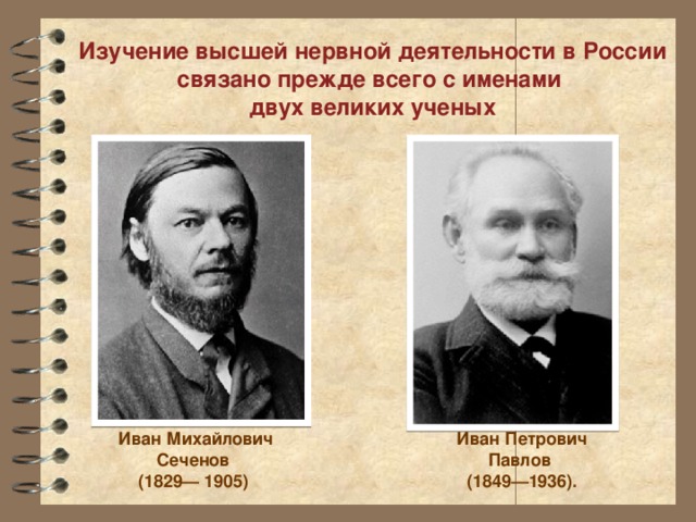 Изучение высшей нервной деятельности в России связано прежде всего с именами двух великих ученых Иван Петрович Павлов Иван Михайлович Сеченов (1849—1936). (1829— 1905) 