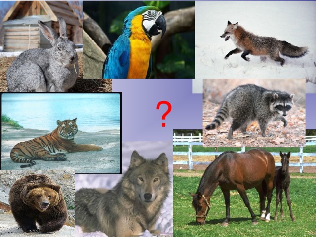 ?