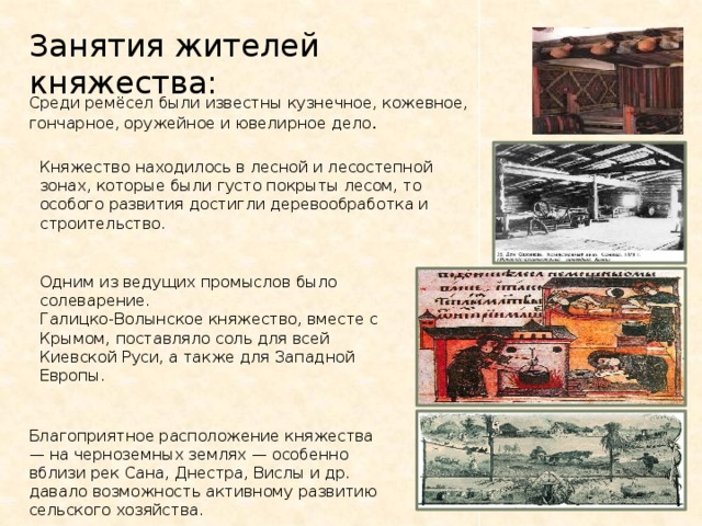 Занятия жителей княжества: Среди ремёсел были известны кузнечное, кожевное, гончарное, оружейное и ювелирное дело . Княжество находилось в лесной и лесостепной зонах, которые были густо покрыты лесом, то особого развития достигли деревообработка и строительство. Одним из ведущих промыслов было солеварение. Галицко-Волынское княжество, вместе с Крымом, поставляло соль для всей Киевской Руси, а также для Западной Европы. Благоприятное расположение княжества — на черноземных землях — особенно вблизи рек Сана, Днестра, Вислы и др. давало возможность активному развитию сельского хозяйства.  