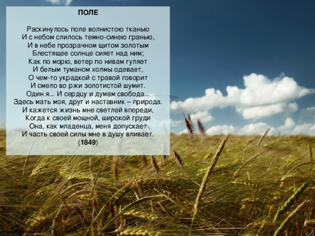 После дождика раскинулась по небосклону. Стих Никитина поле. Никитин поле стихотворение. Русское поле стих.