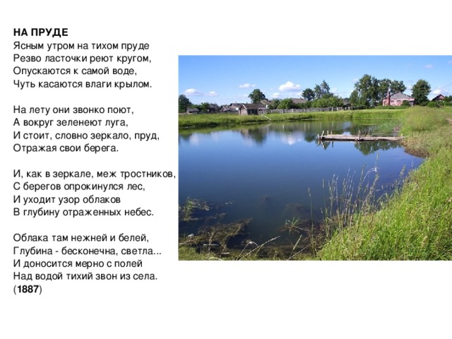 Презентация родные просторы