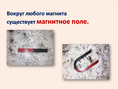 Конспект урока «Постоянные магниты. Магнитное поле Земли». 8 класс.
