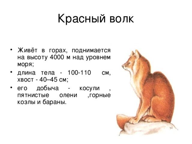 План рассказа бурый волк в сокращении 3 класс