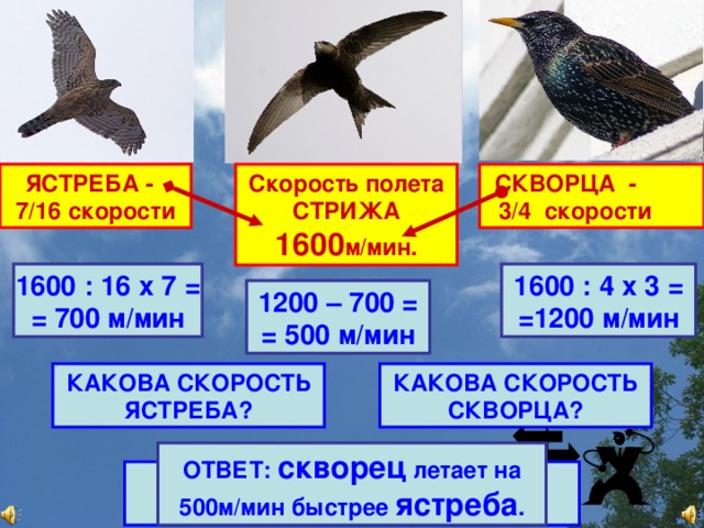 В диаграмме наглядно показано во сколько раз масса ласточки и масса стрижа меньше массы скворца