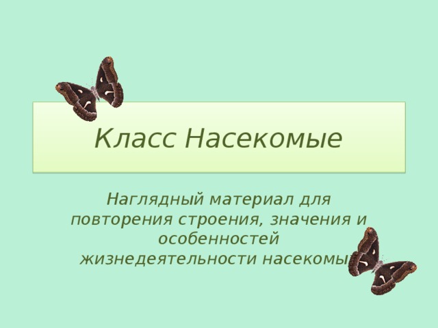 Презентация по биологии 7 класс насекомые