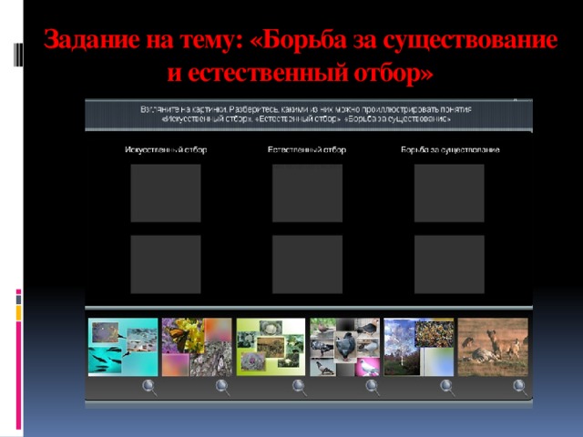 Задание на тему: «Борьба за существование и естественный отбор» 
