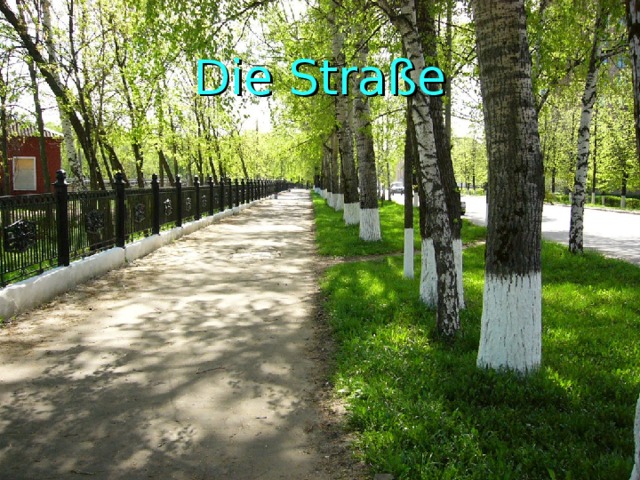 Die Straße 