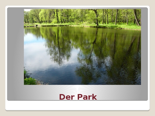 Der Park 