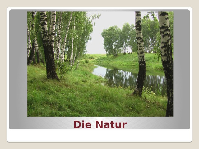 Die Natur 