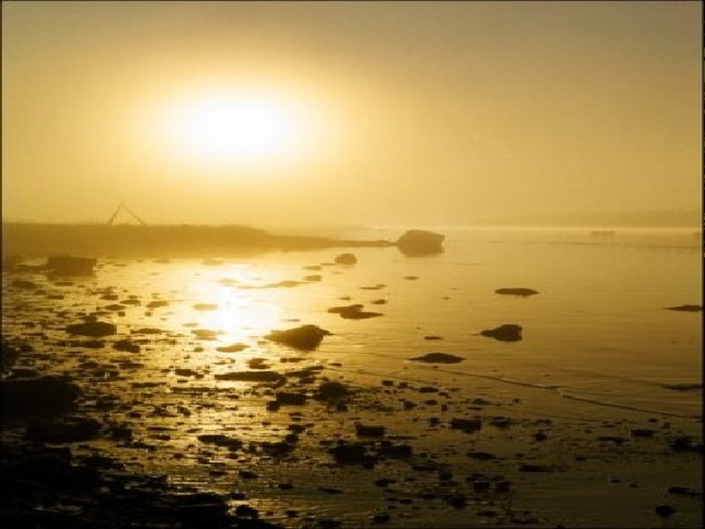 Желтое море Название оно получило из-за того, что в некоторых местах море меняет цвет до желто-бурого. В этом «виноваты» пыльные бури и река Хуанхе, воды которого делают его мутным. 