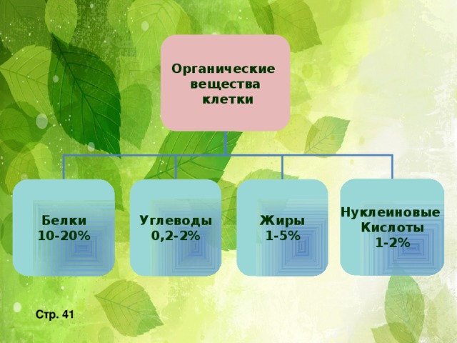 Какие органические вещества клетки. Белки жиры углеводы нуклеиновые кислоты. Органические вещества клетки. Органические вещества клетки 5 класс. Органические соединения клетки.