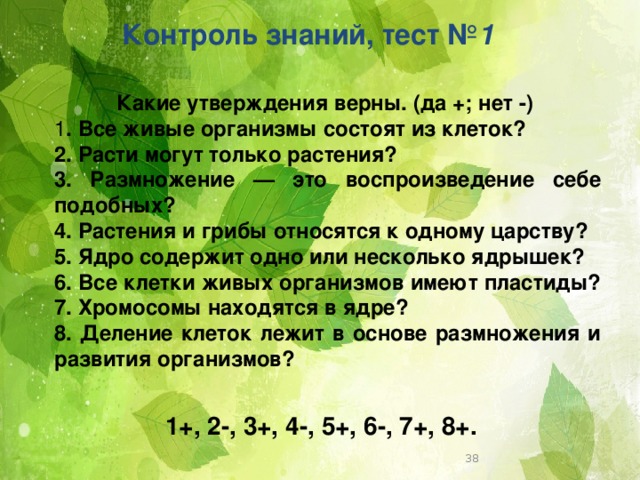 Тест какие утверждения верны. Какие утверждения верны биология 6 класс. Какие утверждения верны все живые организмы состоят из клеток. Какие утверждения верны 1 все живые организмы состоят из клеток. Какие утверждения верны все растения состоят из клеток.