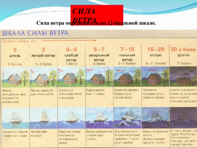 СИЛА ВЕТРА Сила ветра определяется по 12-балльной шкале. 