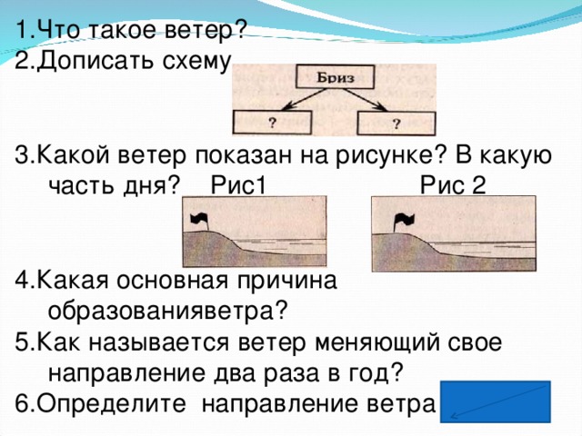 Представитель какого отдела показан на рисунке 1 папоротниковидные