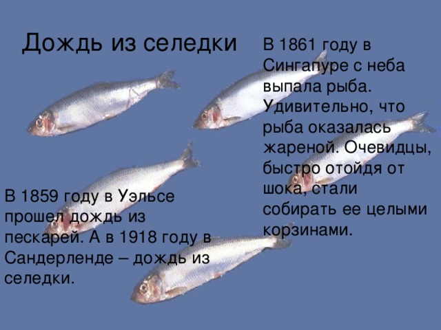 Дождь из селедки В 1861 году в Сингапуре с неба выпала рыба. Удивительно, что рыба оказалась жареной. Очевидцы, быстро отойдя от шока, стали собирать ее целыми корзинами. В 1859 году в Уэльсе прошел дождь из пескарей. А в 1918 году в Сандерленде – дождь из селедки. 