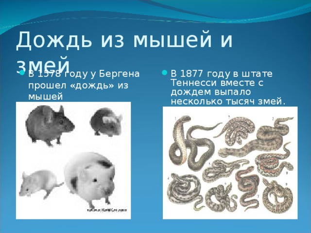 В 1578 году у Бергена прошел «дождь» из мышей В 1877 году в штате Теннесси вместе с дождем выпало несколько тысяч змей. 