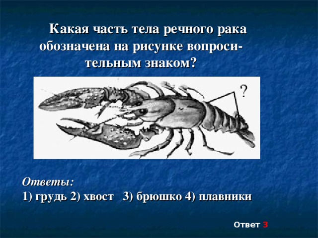 Назовите орган обозначенный на рисунке вопросительным знаком рыба