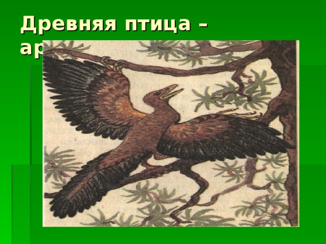Древняя птица – археоптерикс 