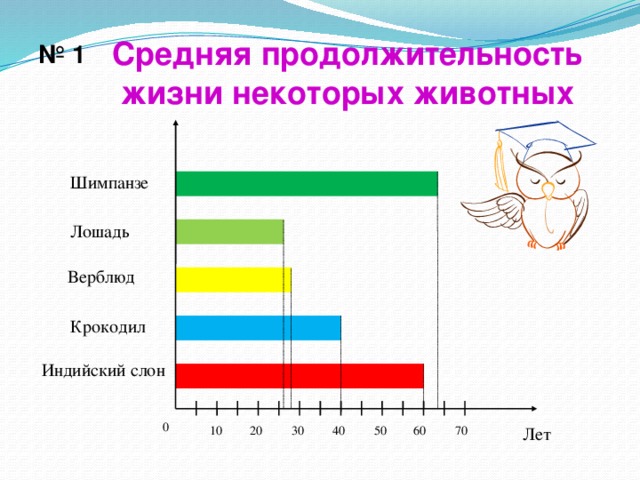 Средняя продолжительность жизни некоторых животных № 1  Шимпанзе Лошадь Верблюд Крокодил Индийский слон 0 Лет 70 60 40 50 30 10 20 