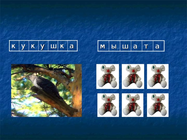 у к у к ш к а м а т а ш ы 
