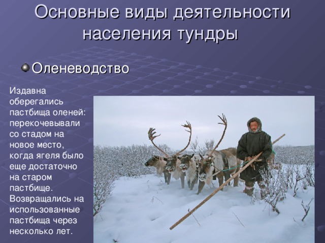 Коренное население природной зоны занимается. Деятельность человека в тундре. Деятельностьеловека в зоне тундры.