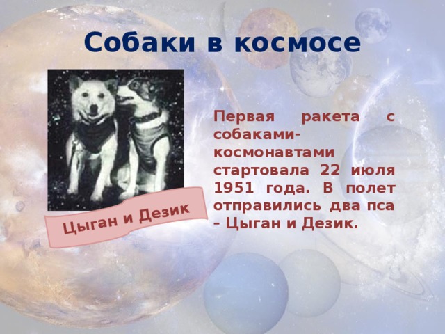 Цыган и Дезик Собаки в космосе Первая ракета с собаками-космонавтами стартовала 22 июля 1951 года. В полет отправились два пса – Цыган и Дезик. 