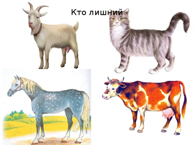 Кто лишний 