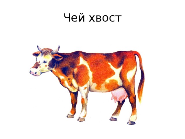 Хвост коровы рисунок