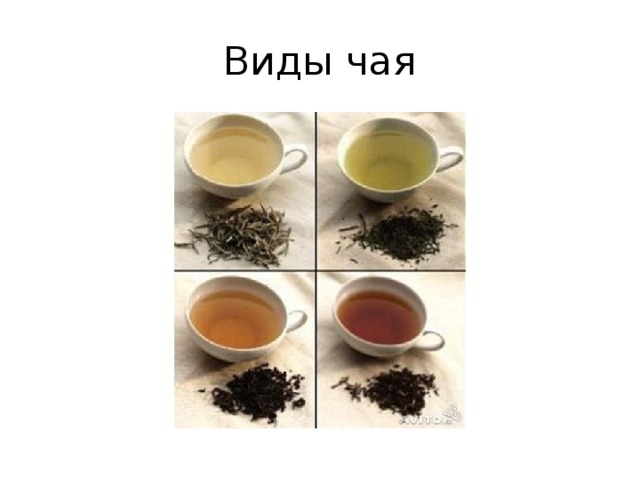 Самый распространенный вид чая. Виды чая. 6 Видов чая. Чай виды названия. Виды чая и их свойства.