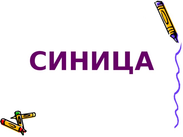 СИНИЦА 