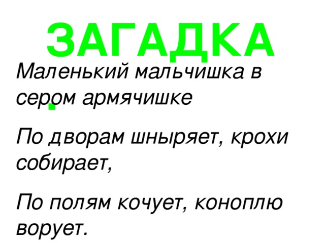 Загадка маленький мужичок. Отгадка к загадке маленький мужичок. Отгадка к загадке маленький мужичок. Загадки про хозяйство. Загадки отгадывать загадки.