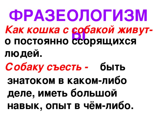 Фразеологизмы с собакой