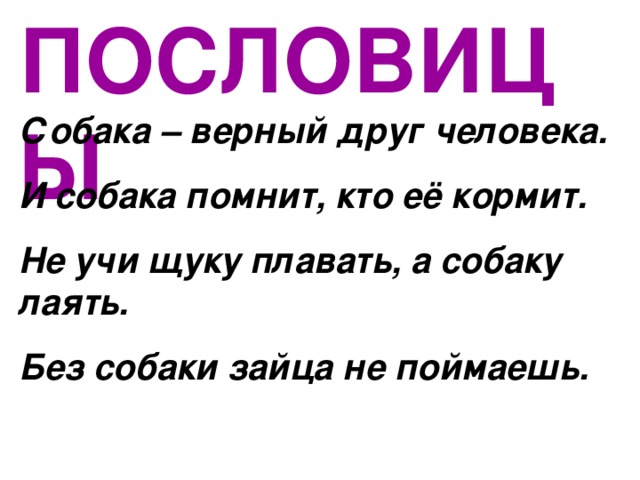 Состав слова собачонку. Пословица учи рыбу плавать а собаку лаять. Пословица не учи щуку плавать. Не учи рыбу пословица.