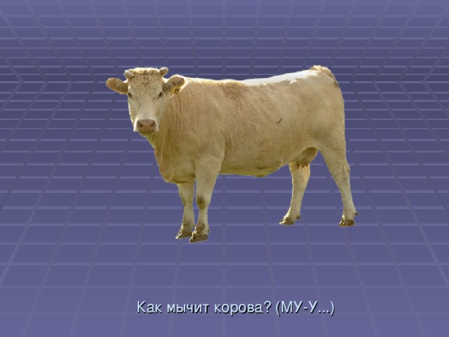 Корова мычит