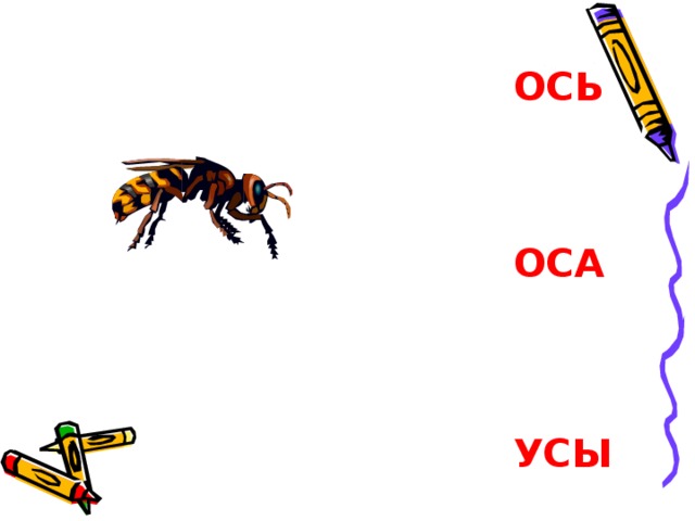 Оси ос. Слово Оса. У осы усы. Осы оси.