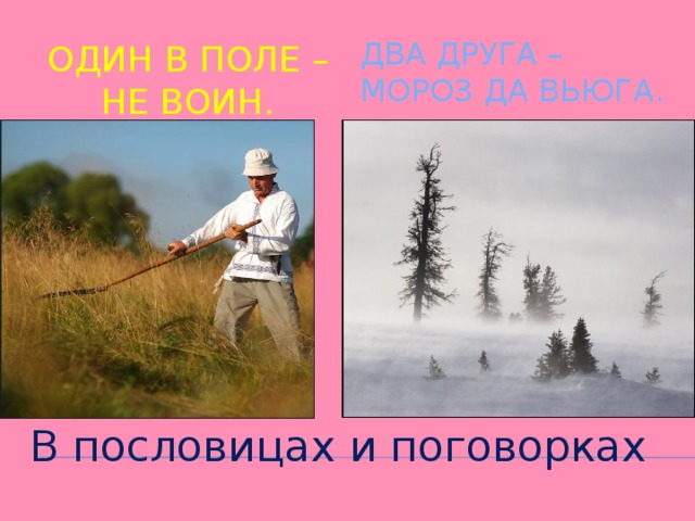 Два друга – мороз да вьюга. Один в поле – не воин. В пословицах и поговорках 