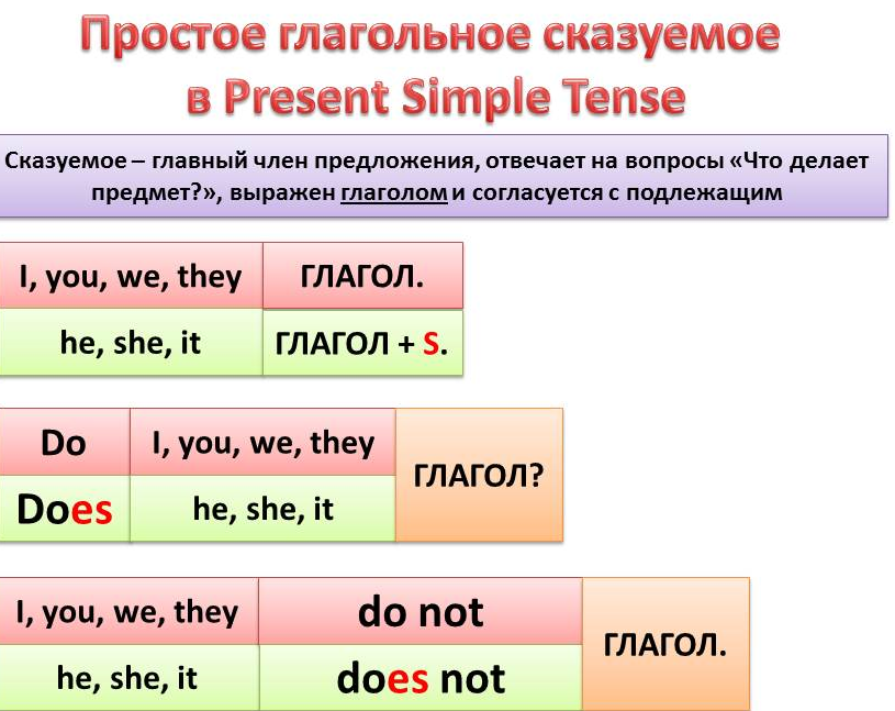 Английский язык 5 класс present simple правила