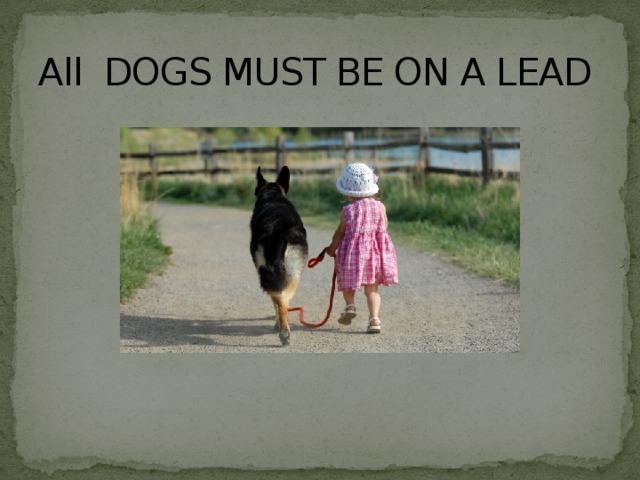 All DOGS MUST BE ON A LEAD 
