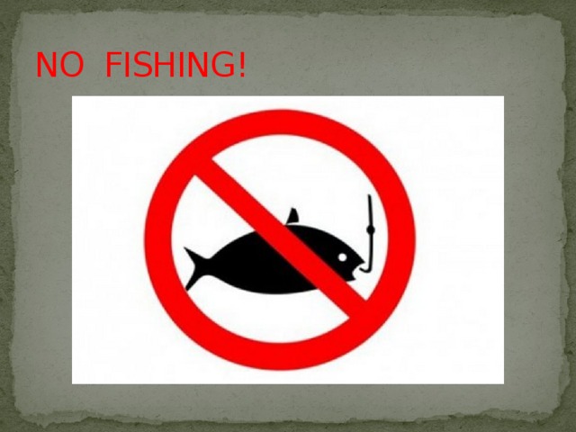 NO FISHING! 