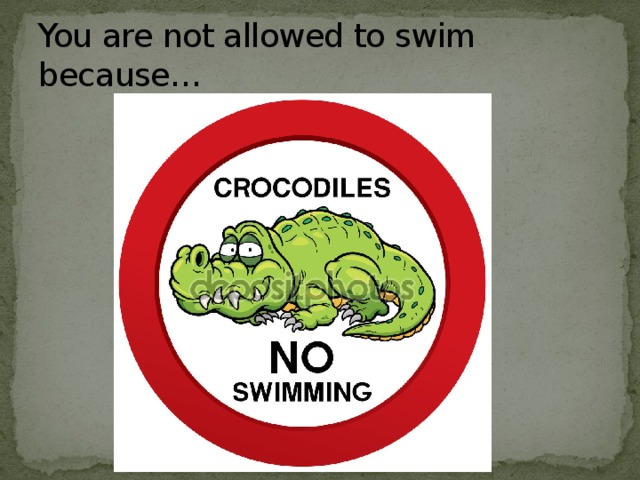 You are not allowed to swim because… 