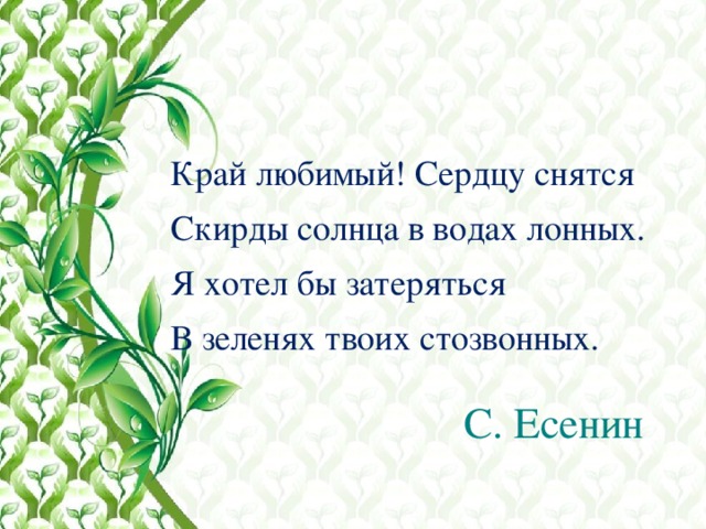 Олицетворение в стихотворении край любимый сердцу снятся. Край любимый сердцу снятся. Стих край любимый сердцу снятся. Край любимый сердцу снятся Есенин. Край любимый Есенин.