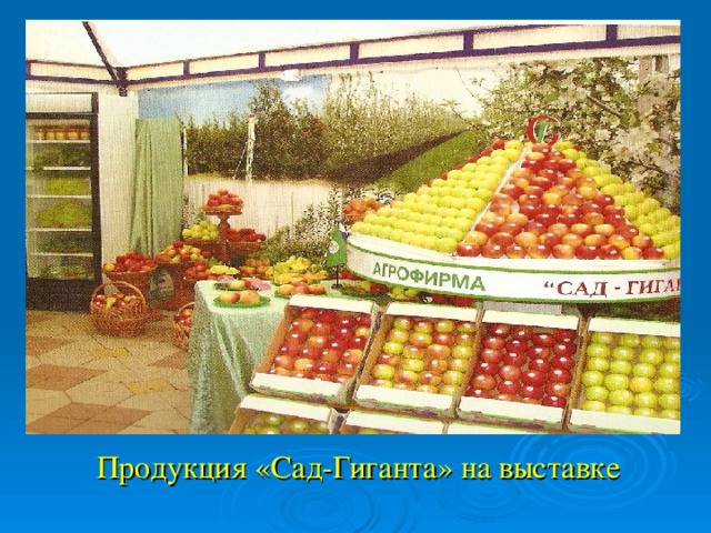 Продукт сада. Сады гиганта продукция. Сады Агрофирмы «сад-гигант». Продуктовый сад. Сад-гигант выставка.