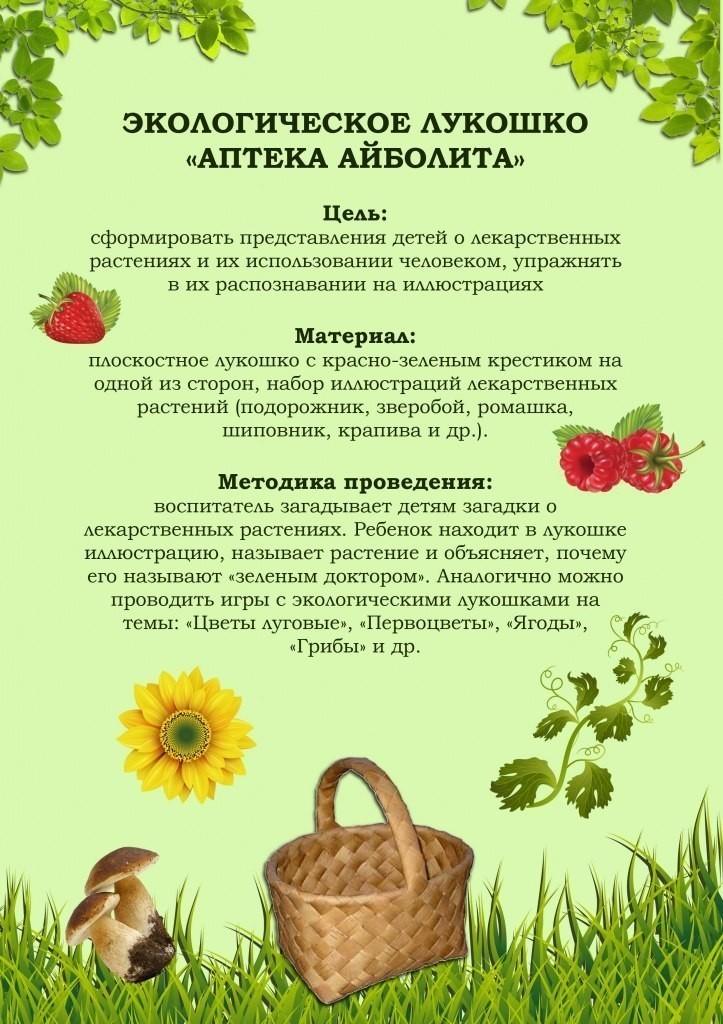 Проект по экологии для средней группы В ПОМОЩЬ РОДИТЕЛЯМ И ПЕДАГОГАМ КРАСОЧНЫЙ МАТЕРИАЛ ТО ТЕМЕ "Экологические игры"