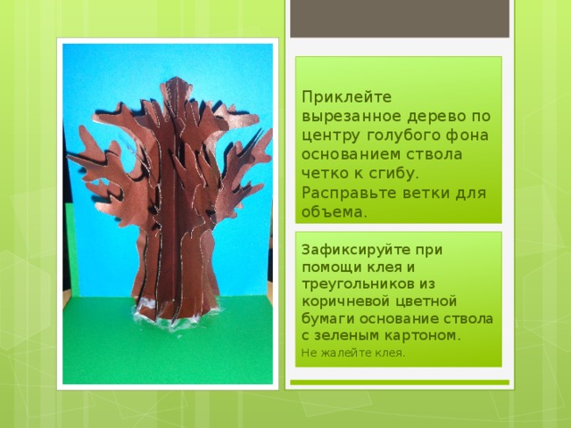 Приклейте вырезанное дерево по центру голубого фона основанием ствола четко к сгибу. Расправьте ветки для объема. Зафиксируйте при помощи клея и треугольников из коричневой цветной бумаги основание ствола с зеленым картоном. Не жалейте клея. 