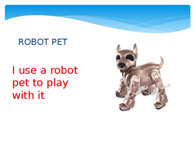 ROBOT PET I use a robot pet to play with it . 